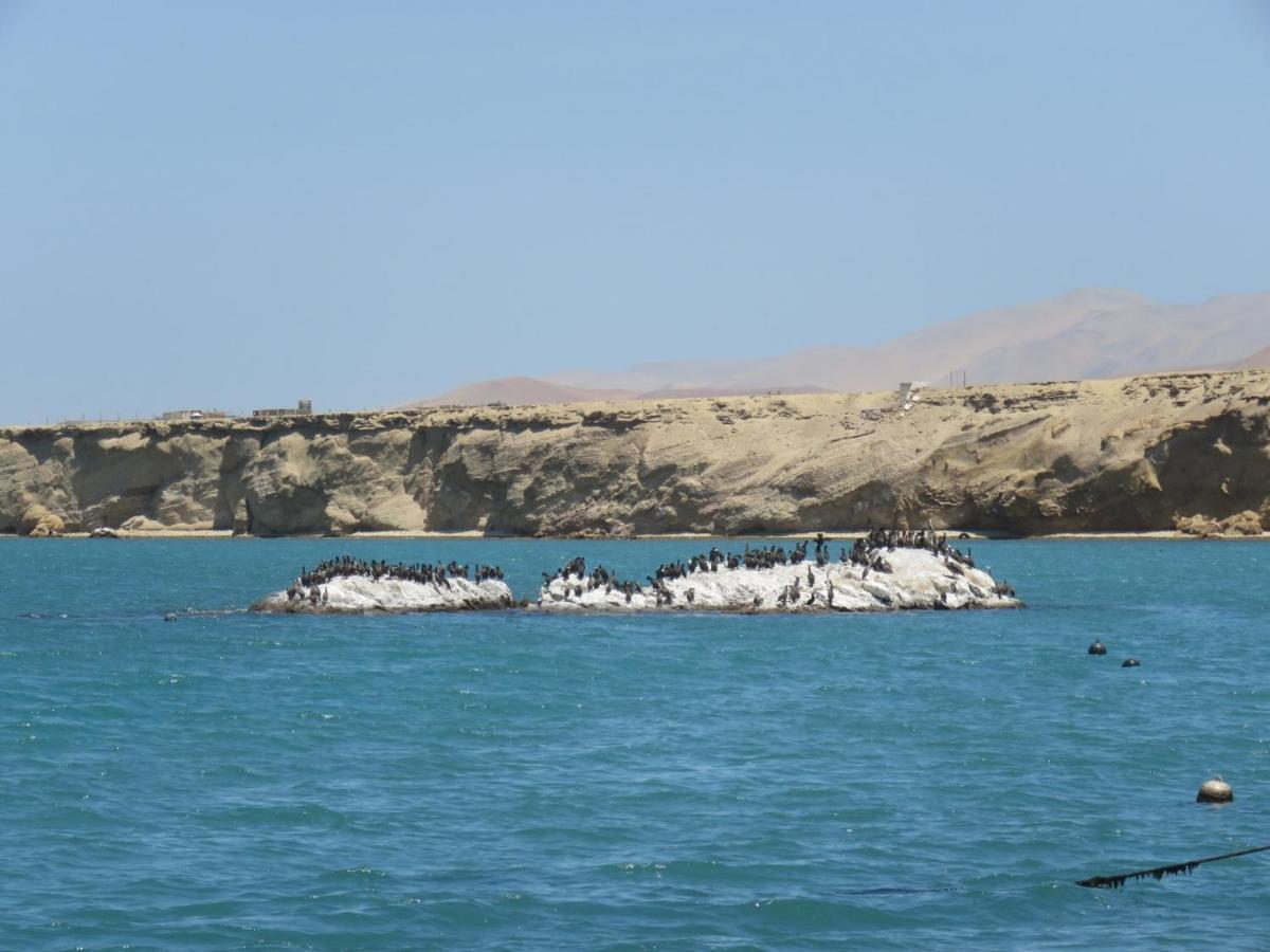 Paracas Apartment ภายนอก รูปภาพ